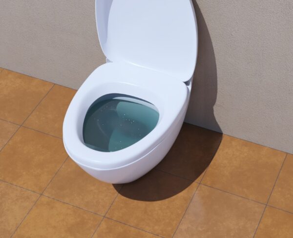 Obturateur de wc – Image 3
