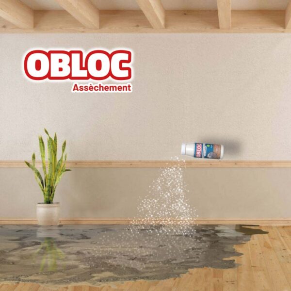 Solution d’assèchement post inondation (125L) – Image 2